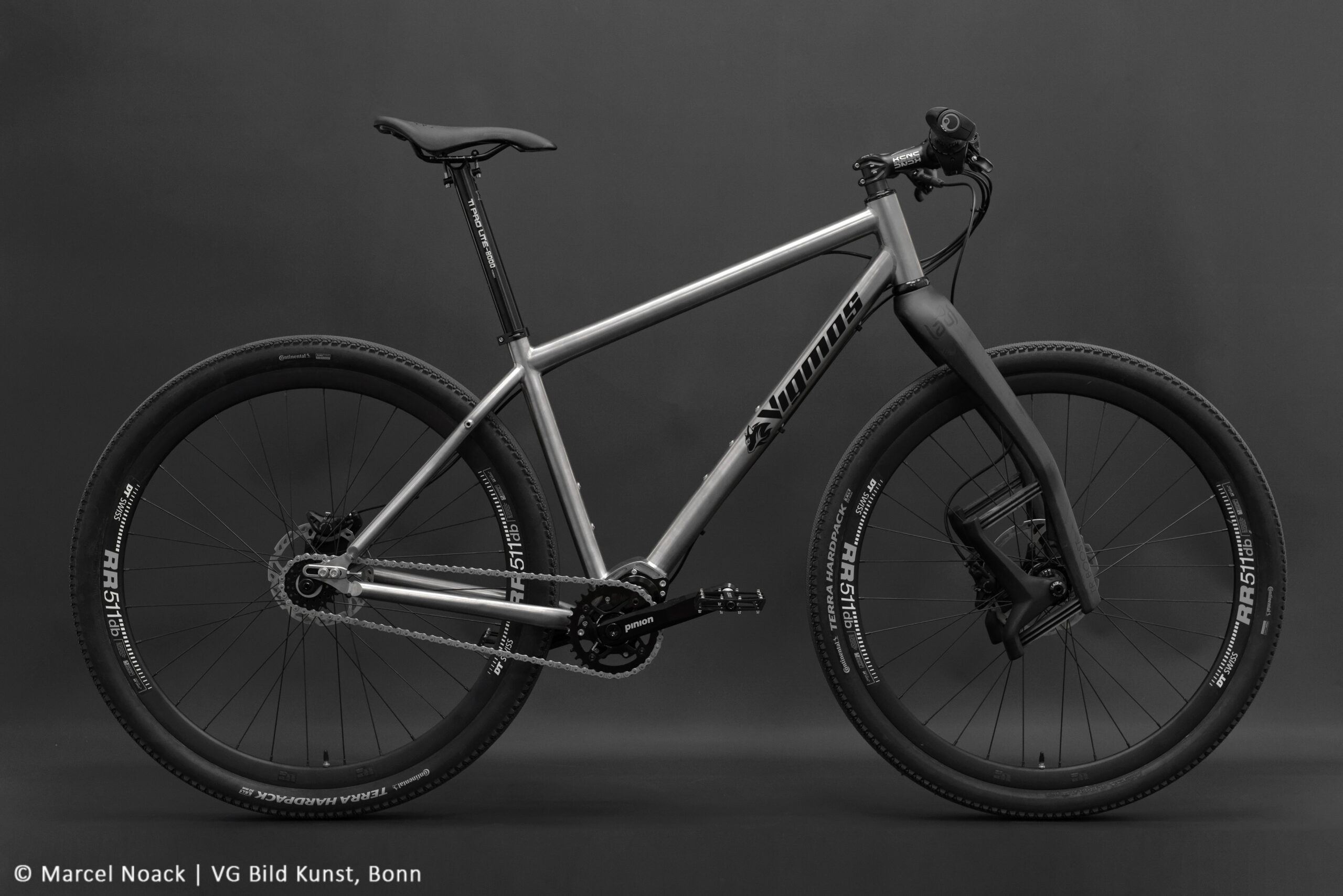 29er-Pinion-MTB-scaled