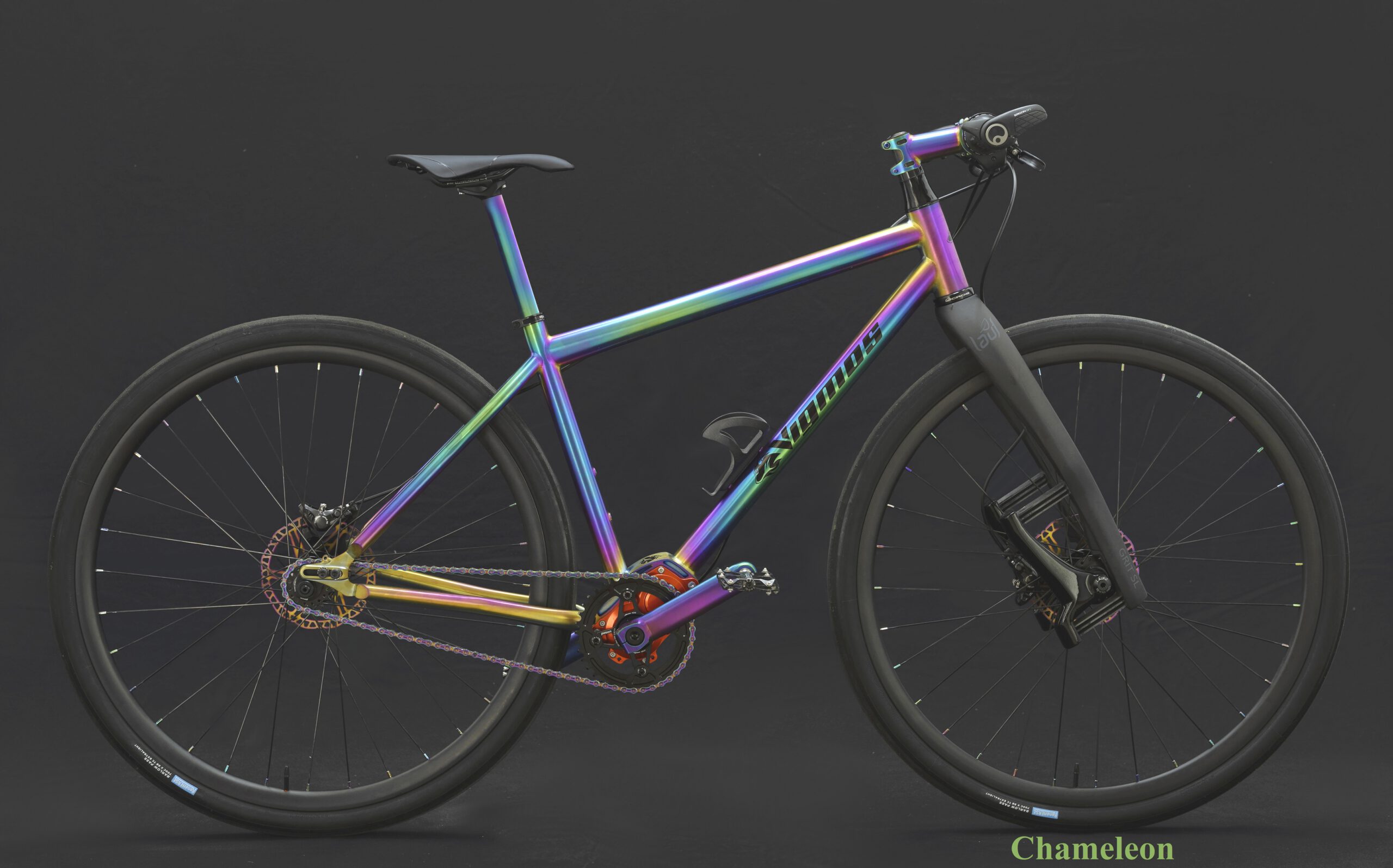 Chameleon-scaled