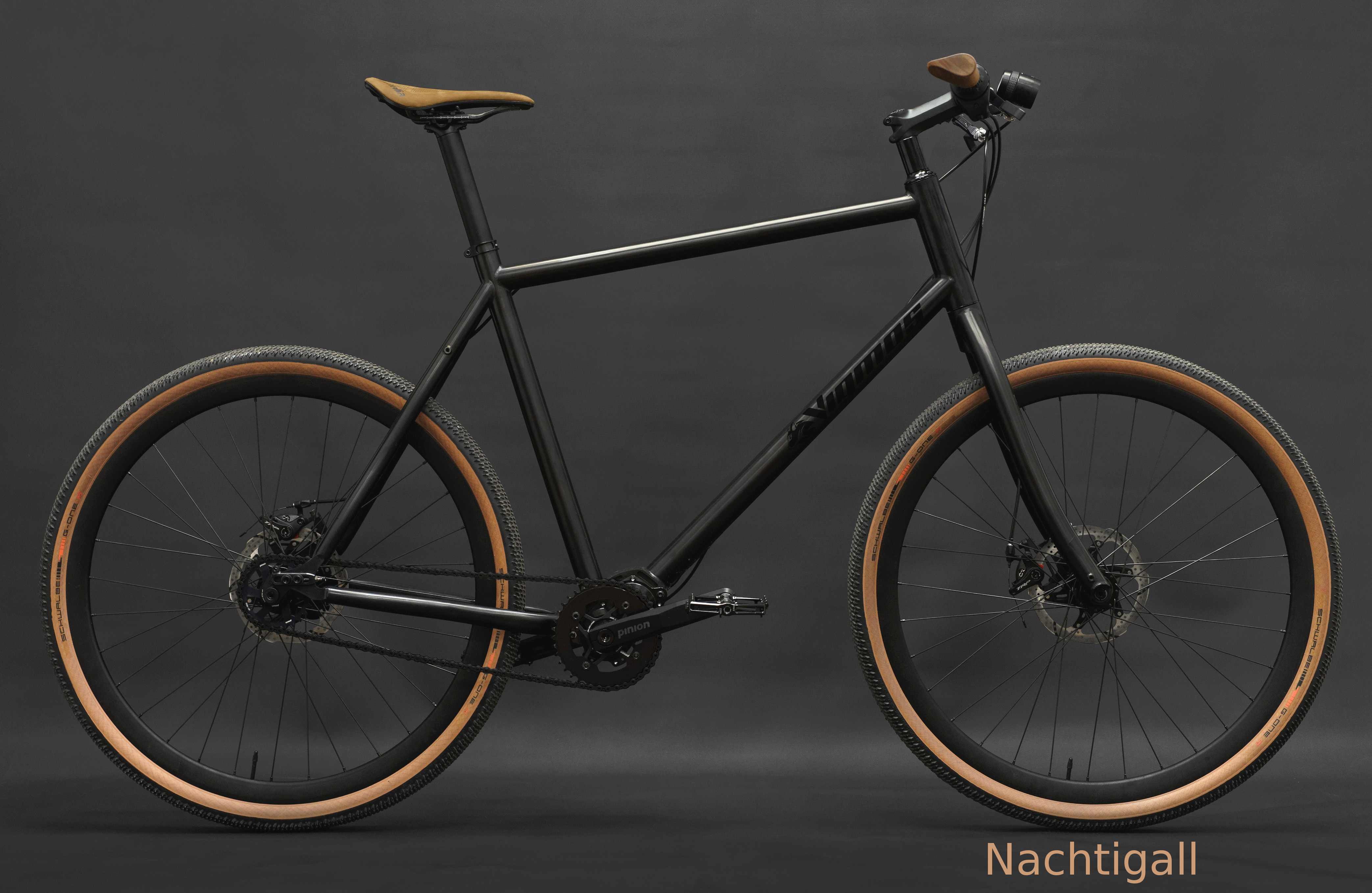 Nachtigall-Pinion-Titan-Rad