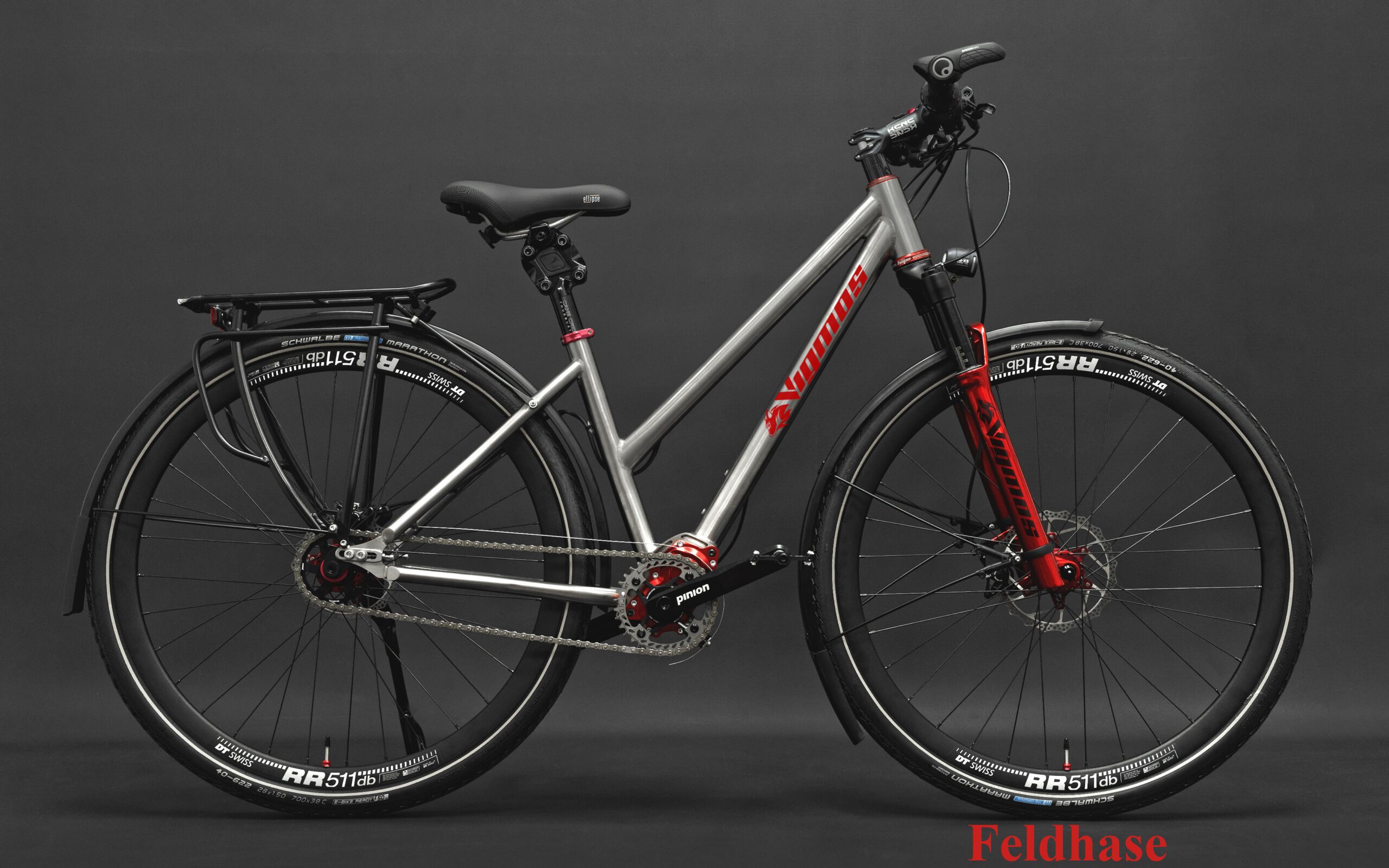 Pinion-Damenrad-2-scaled