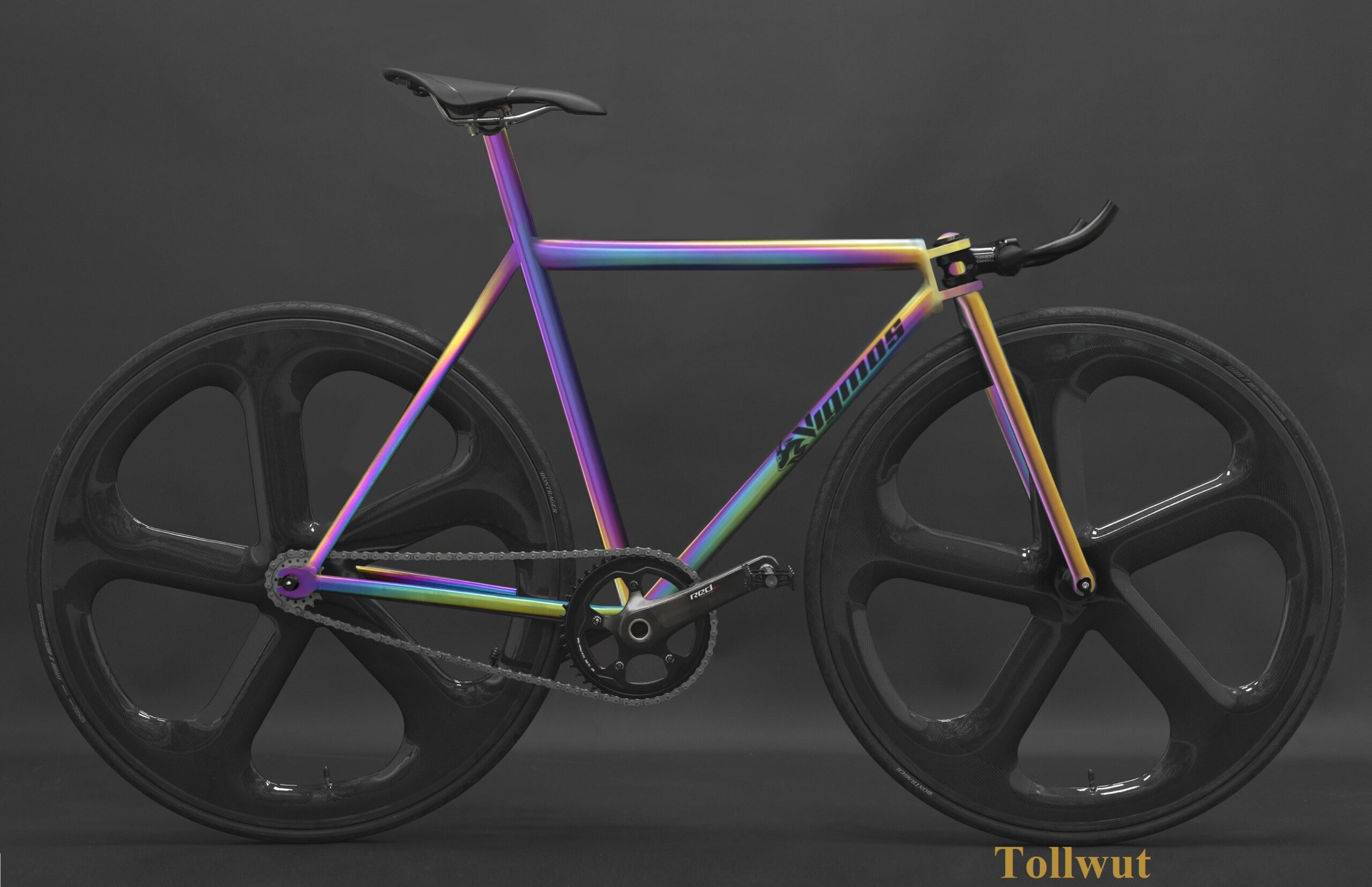 Singlespeed-Tollwut-scaled