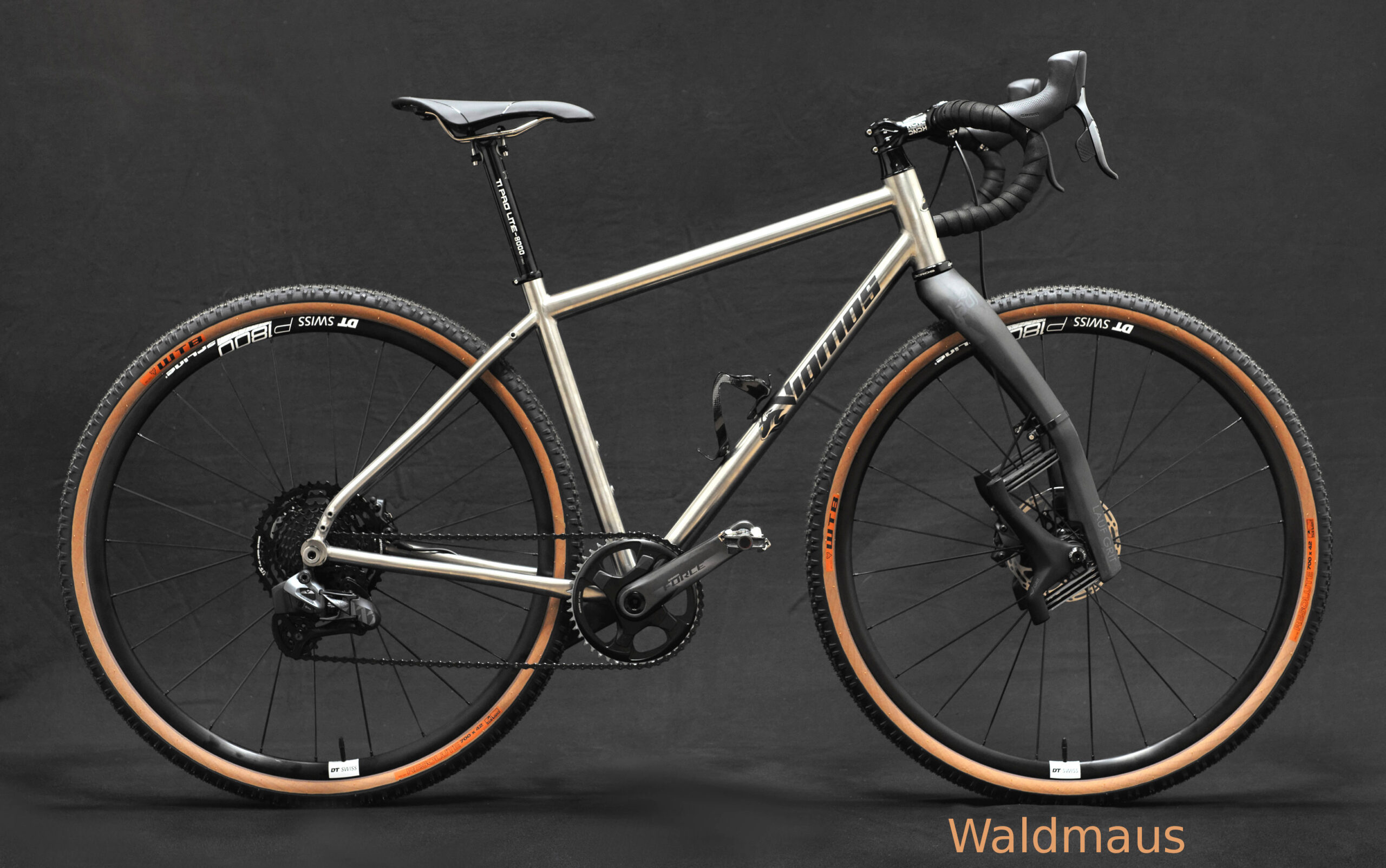 Waldmaus......-scaled