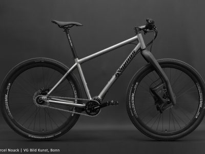 29er-Pinion-MTB-scaled