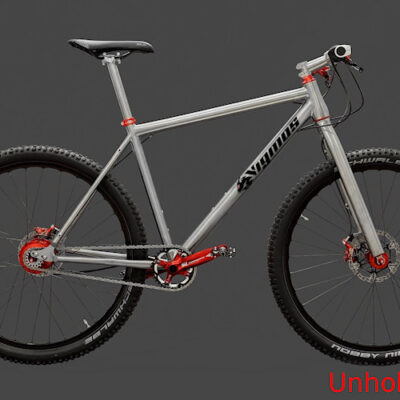 Unhold Titan Fahrrad 29er mit Rohloff o. Pinion P1.18 C1.12