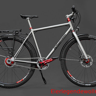 Eierlegendewollmilchsau Titanrad als 29er Alleskönner mit Pinion P1.18 C1.12 oder Rohloff - das pefekte Reiserad