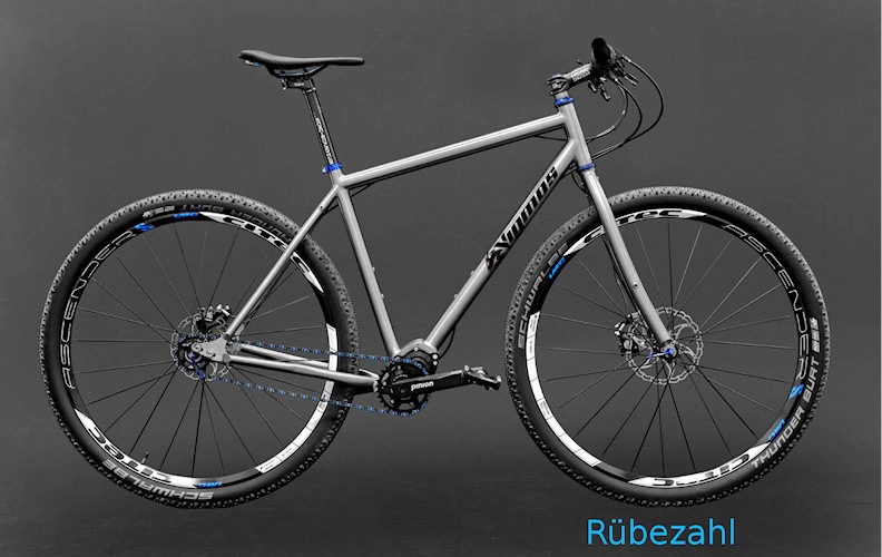 Rübezahl Titan Fahrrad mit Pinion als 29er MTB mit P1.18 o. C1.12
