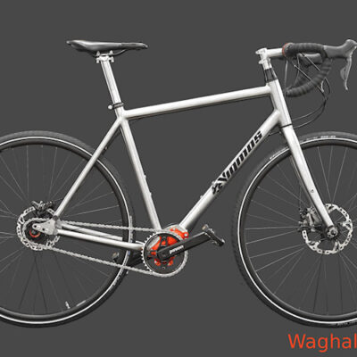 Waghals Titan Pinion Rennrad o. Gravelbike P1.18 oder C1.12