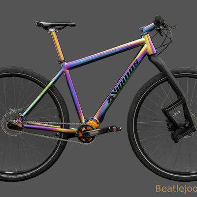 Beatlejoose Oilslick Titanbike Pinion als 29Zoll MTB Twentyniner