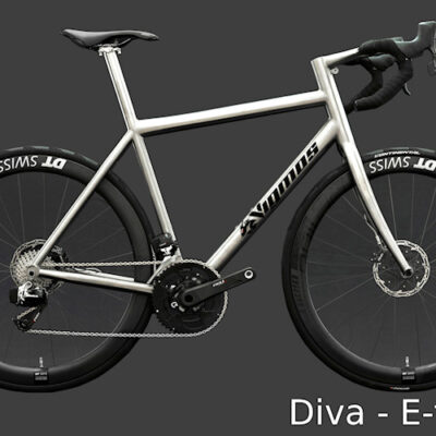 Diva Titan Rennrad Sram Red Etap AXS
