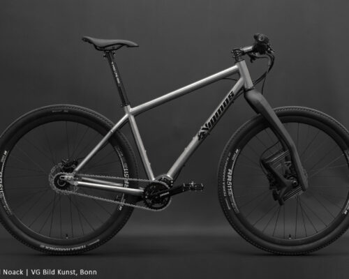 29er Pinion MTB