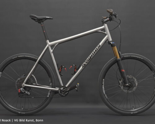 Ungetüm XXL Titan 29er MTB