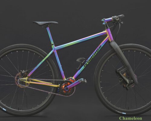 Chameleon