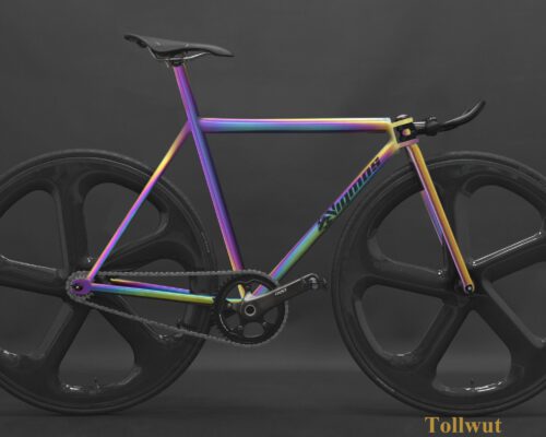 Singlespeed Tollwut